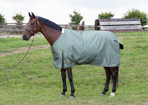 Harry's Horse Outdoorrug Thor 200grs