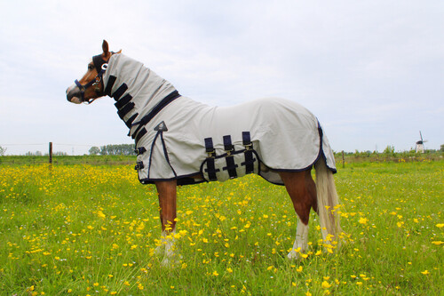 DKR Sports Mini Eczema Rug Hoody - specially for pony's