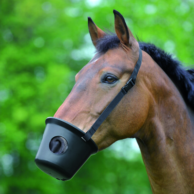 Waldhausen Muzzle pony