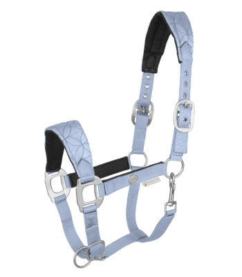 Waldhausen Halter Rom