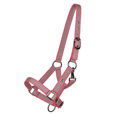 QHP Head collar foal collection
