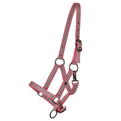 QHP Head collar yearling collection