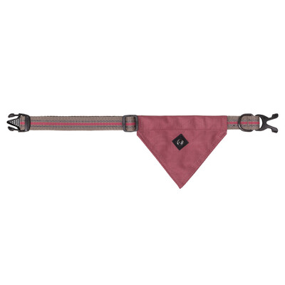 QHP Dog collar with bandana collection