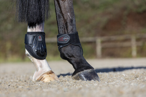 LeMieux Derby ProJump Fetlock Boot