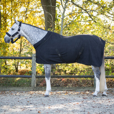 QHP Show Rug Zahra