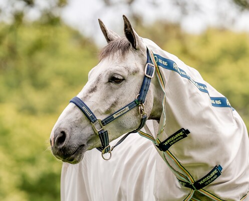 Horseware Field Safe Safety halter