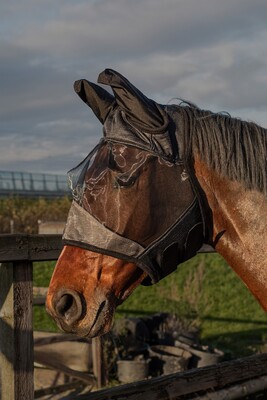 Harry's Horse Flymask Flyshield, bamboo-lining