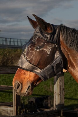 Harry's Horse Flymask Flyshield without ears, bamboo-lining