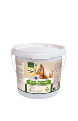 VITALstyle OerBalans 4kg - Powder