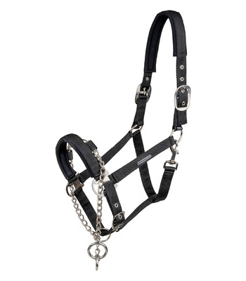 Waldhausen Halter Pro Safety