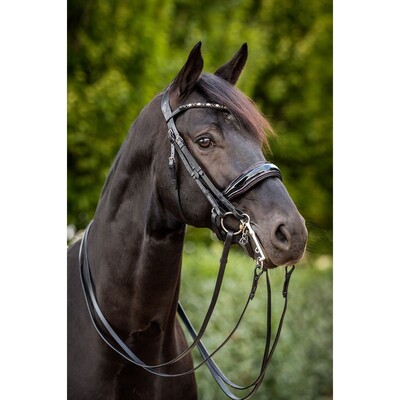 HB Double bridle Showtime Special For You