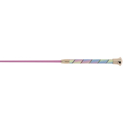 Whip & Go Strassy Dressagewhip rainbow