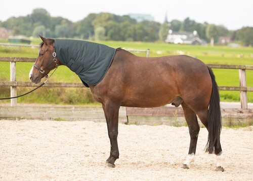 Harry's Horse Neckcover Thor 200gr