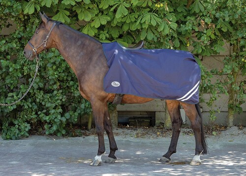 Harry's Horse Exercise sheet 0gr Waterproof 