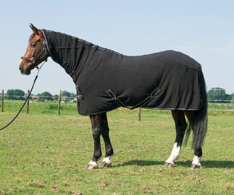 Harry's Horse Fleecerug Deluxe with neck