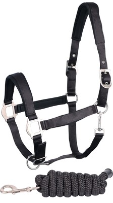 Harry's Horse Headcollar and lead Satin