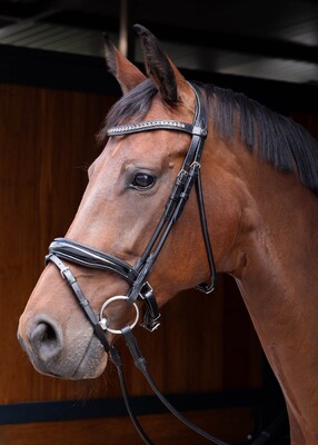 Harry's Horse Bridle round-sewn Lacque