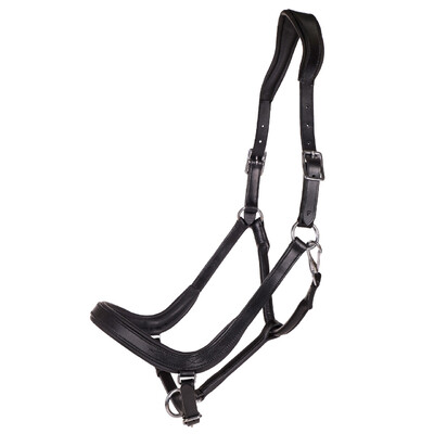 QHP Head collar Salerno anatomic