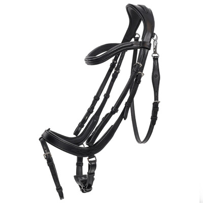 QHP Bridle Salerno