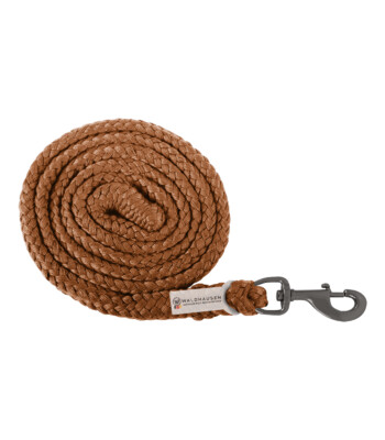 Waldhausen Plus Lead Rope, carabiner