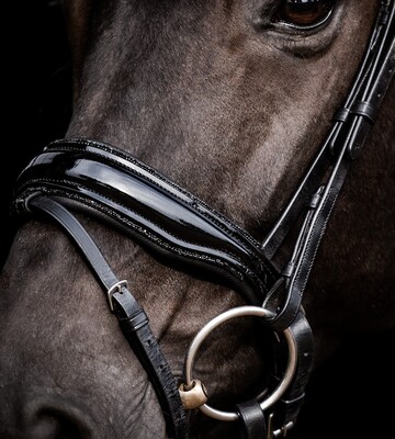 HB Showtime Anatomic Patent Noseband