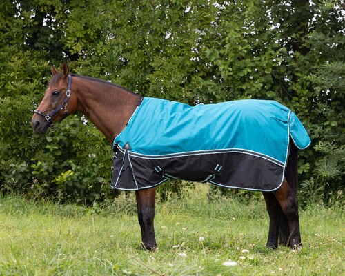 DKR Sports Rain Rug Turnout Luxe 150grs