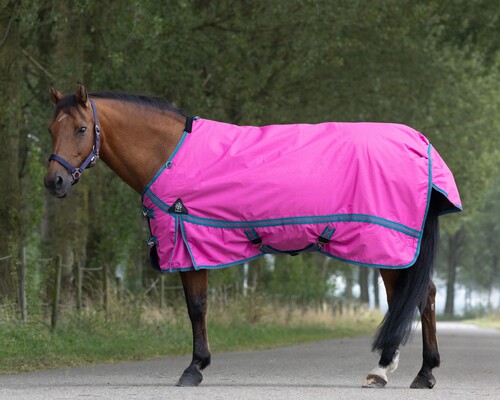 DKR Sports Mini Winter Rug 200grs specially for pony's