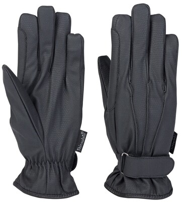 Harry's Horse Riding gloves Alaska Waterproof