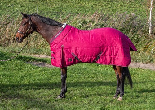 Harry's Horse Stable Rug Highliner 200