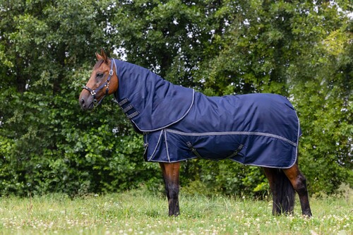 DKR Sports Winter Rug 300gr With Detachable Neck
