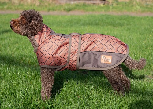 Harry's Horse Dog rug Twotone