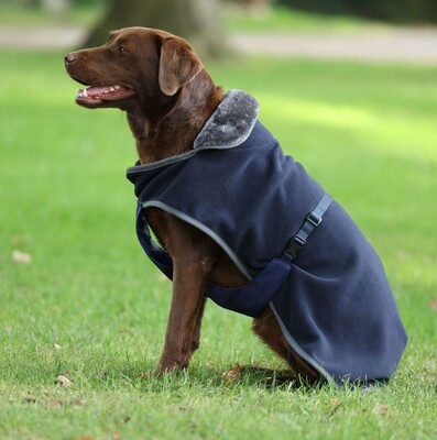 Bucas Show-Line Dog Rug