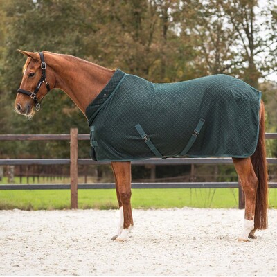 QHP Show rug Avélie