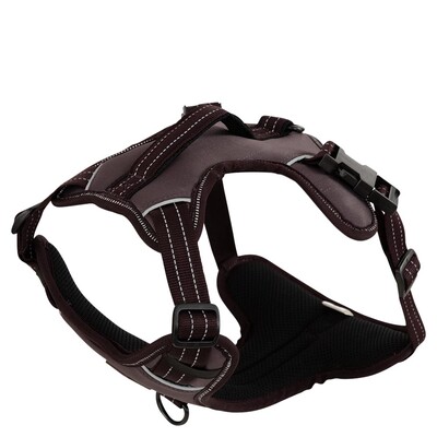 BR Dog Harness