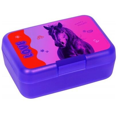 Horse friends Sandwick Box I love horses