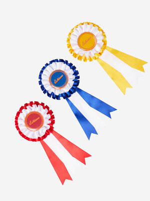 LeMieux Hobby Horse Rosette Pack