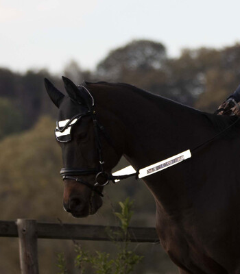 Waldhausen Reflex Bridle-Set