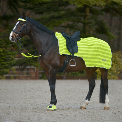 Waldhausen Reflex Hind Exercise Sheet