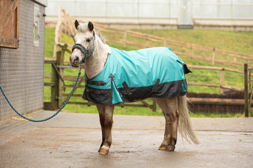 Harry's Horse Turnout Rain Rug STOUT! Beryl 0gr