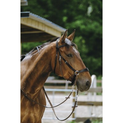 Norton Bridle Bitless