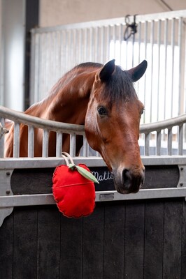HB Showtime Horse Toy Apple
