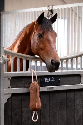 HB Showtime Horse Toy Mr Beanie