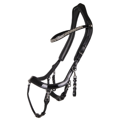 PresTeq Bridle FaySport Shine