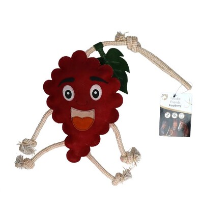 Excellent Horse Toy Raspberry