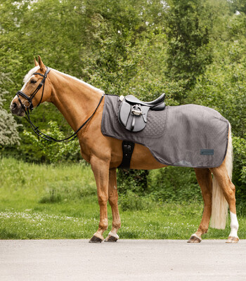 Waldhausen Comfort Fly-Exercise Sheet
