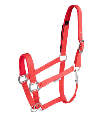 Waldhausen Safety Halter