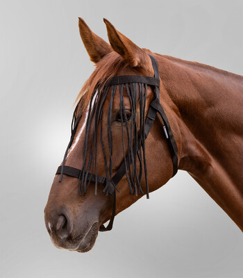 Waldhausen Pasture halter with fly fringes