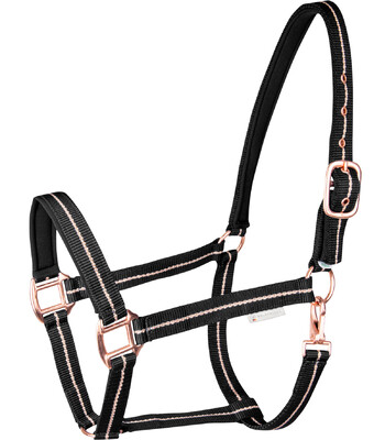 Waldhausen Halter Rosé