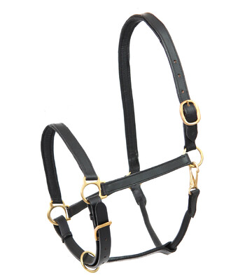 Star Leather halter Robust