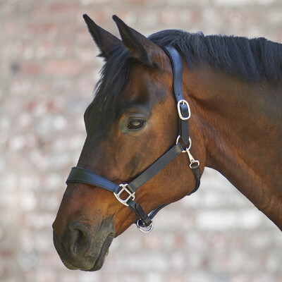 Waldhausen S-Line Leather halter Anatomic